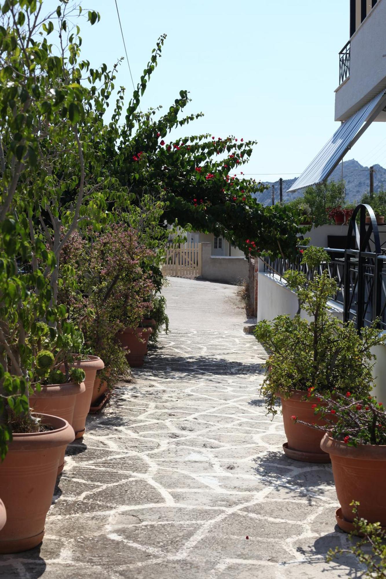 Hara'S Studio Perdika (Aegina) Exterior foto